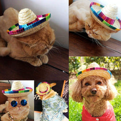 BTYMS mini sombrero hats for pets as cute costume accents at celebrations