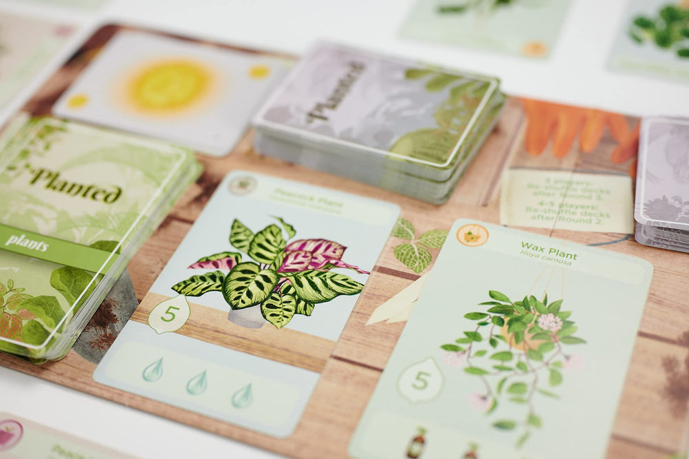 Buffalo Games Planted gameplay-setup supports quick, family-friendly sessions.