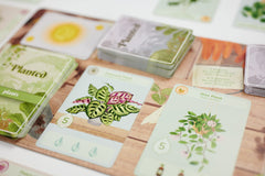 Buffalo Games Planted gameplay-setup supports quick, family-friendly sessions.