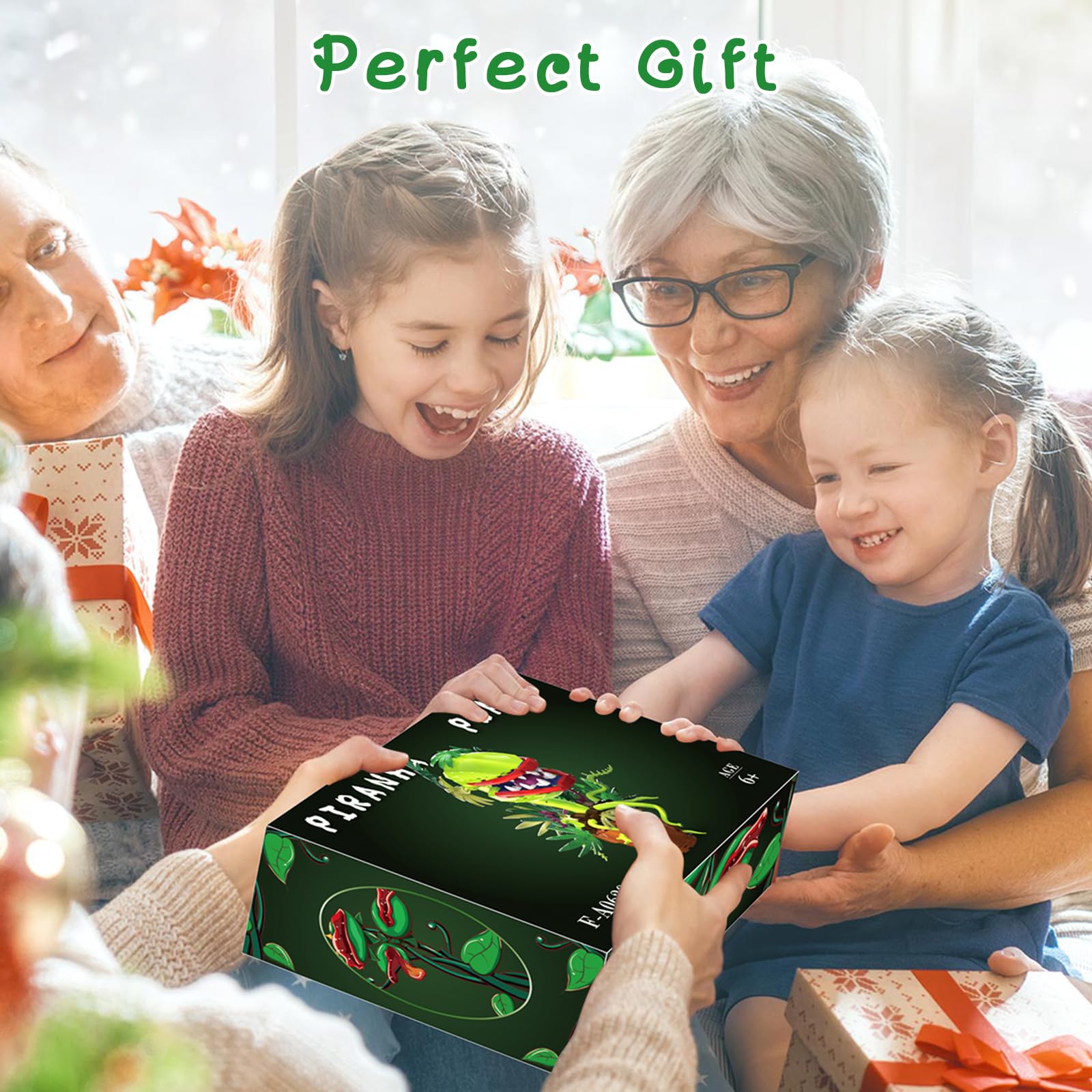 BUILDIFY packaging box and instruction sheet included