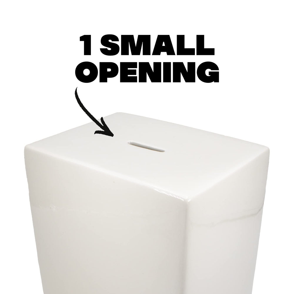BundleBee adult savings piggy bank that holds many bills