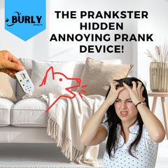 Burly Effects front-office prank scene shows easy-to-use humor.
