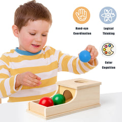 Busy edition box with tray demonstrates object permanence through drop-and-find play.