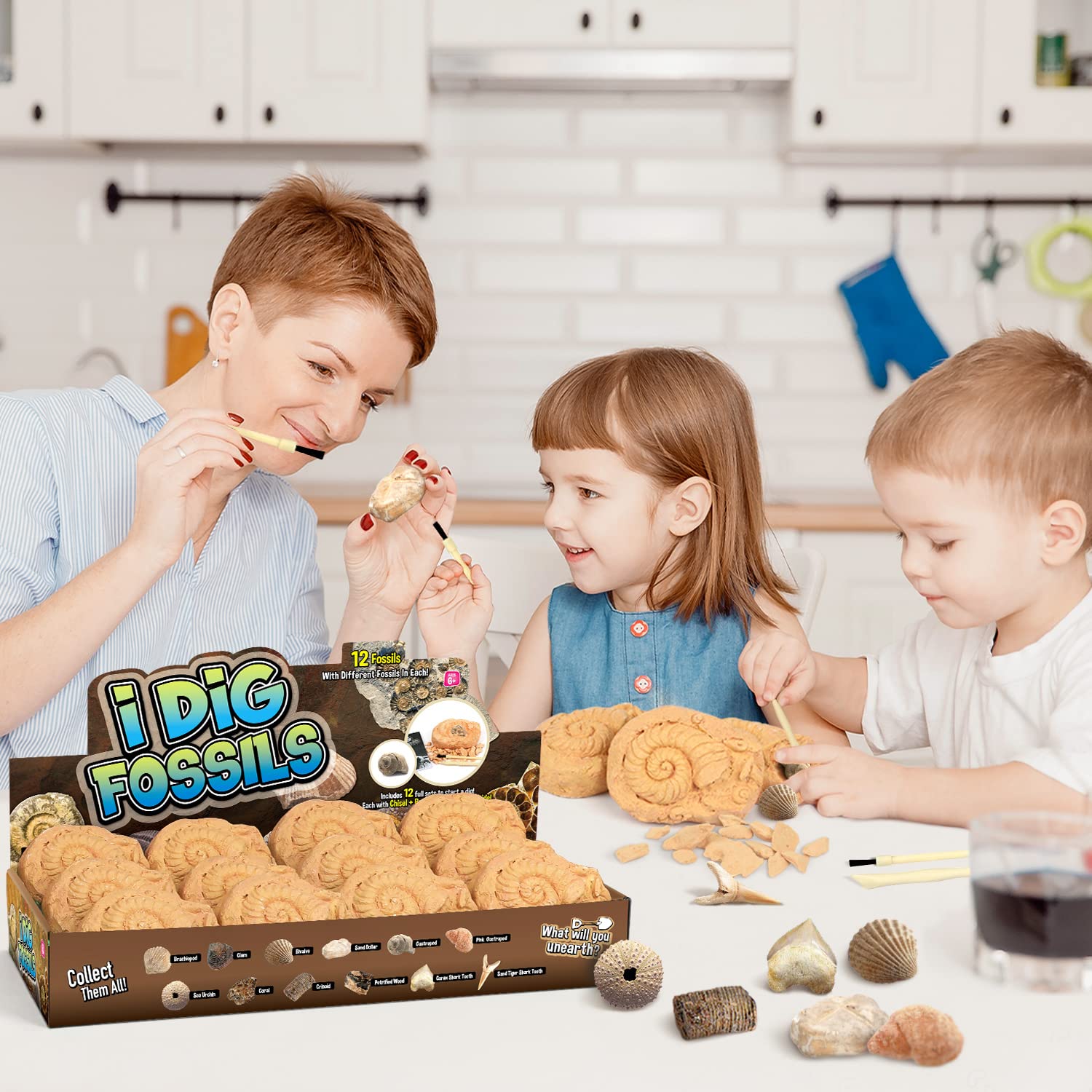 Byncceh Fossil Dig Kit with tools enables careful excavation