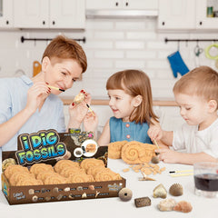 Byncceh Fossil Dig Kit with tools enables careful excavation