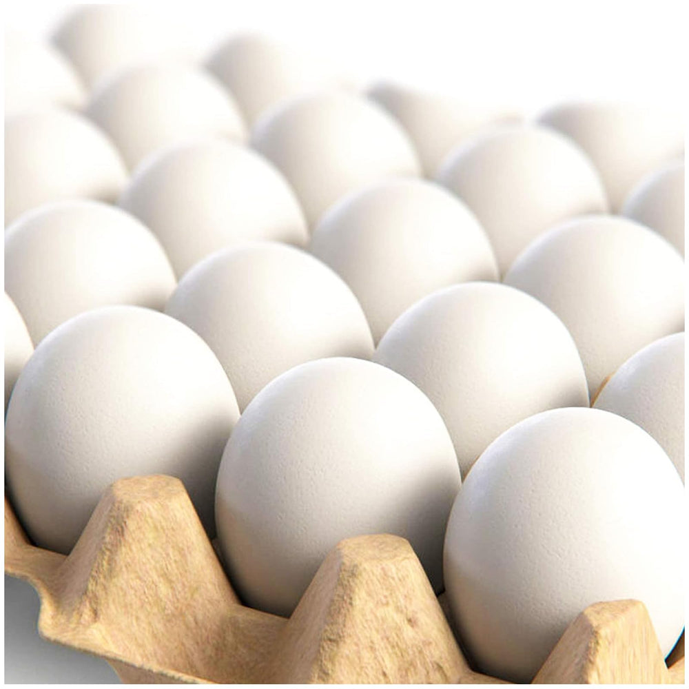 CALPALMY hyper-realistic white wooden egg close-up for painting and crafts