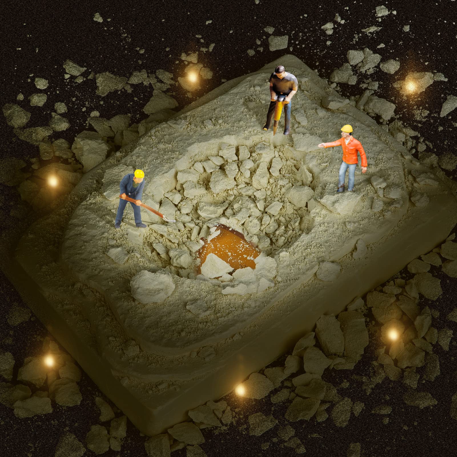 Cameparck Bugs-Collection-Display image with storage for organized findings.