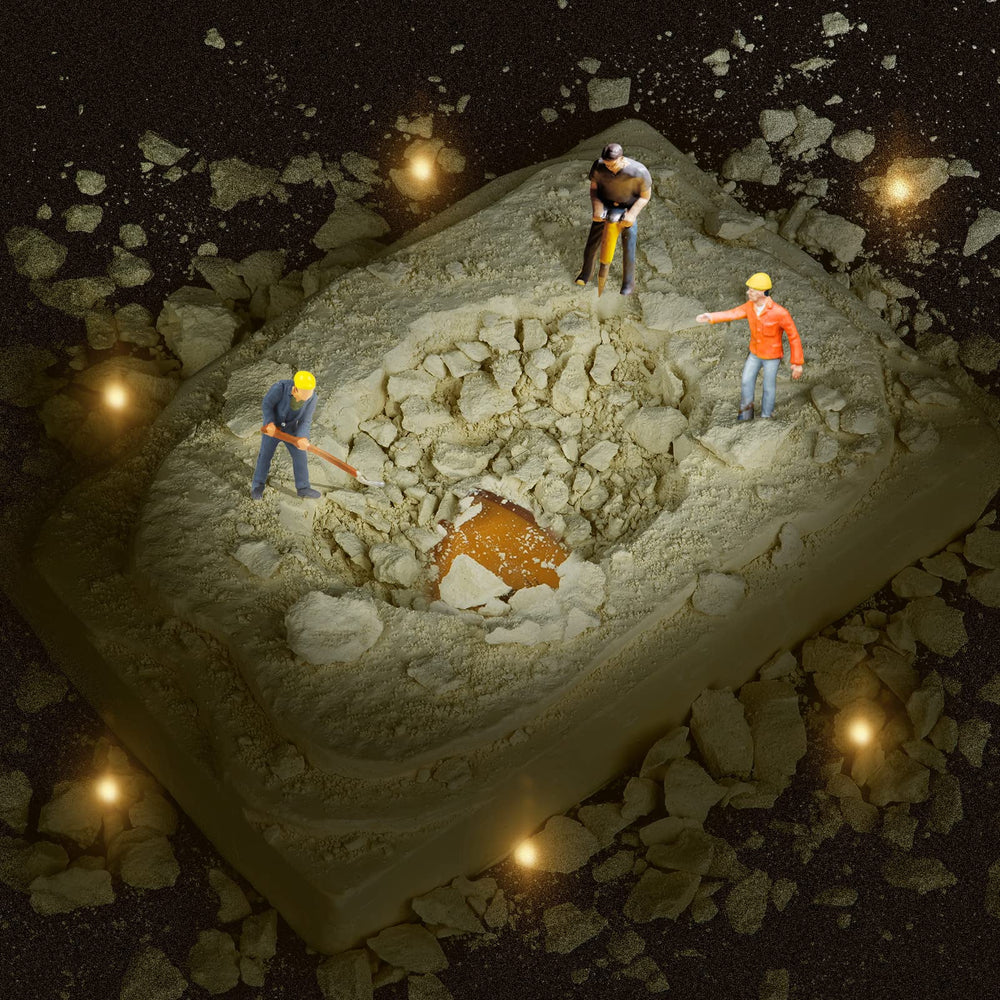 Cameparck Bugs-Collection-Display image with storage for organized findings.
