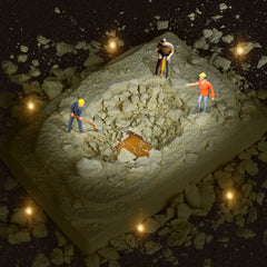 Cameparck Bugs-Collection-Display image with storage for organized findings.