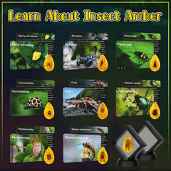 Cameparck Dig-Tools-Set image highlighting professional tools for realistic excavation play.