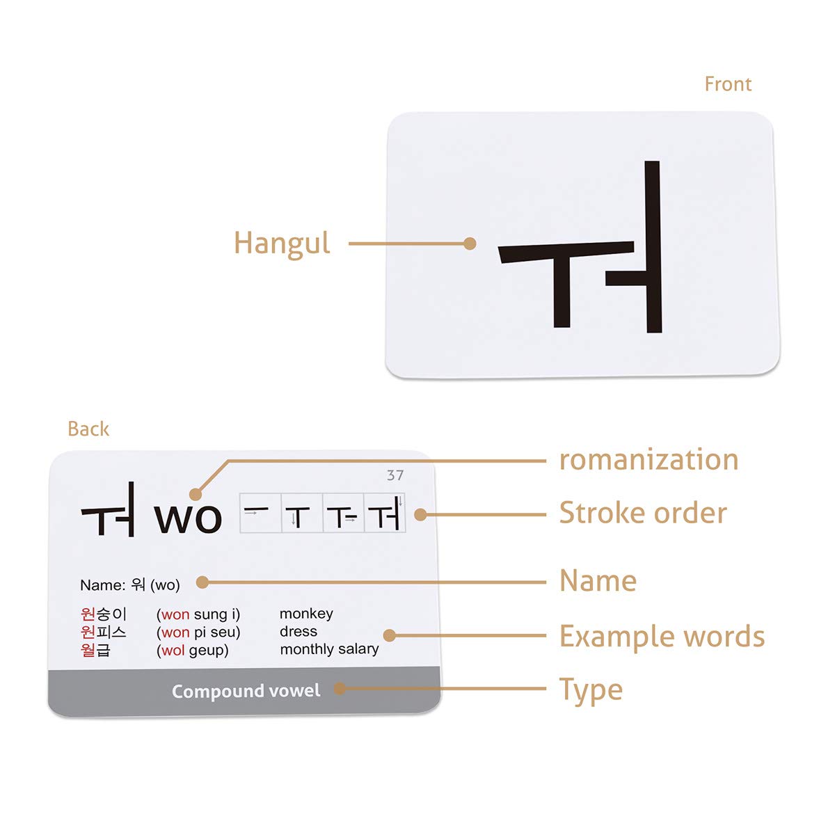 CARDDIA durable flashcards feature water- and tear-resistant paper