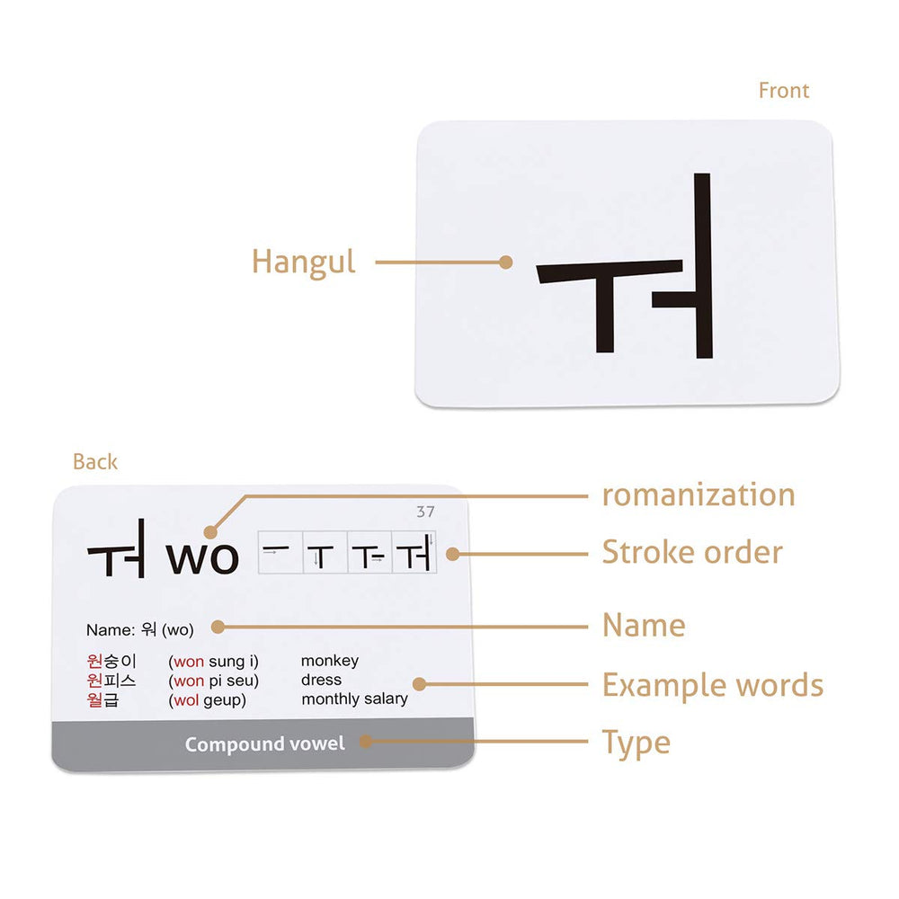 CARDDIA durable flashcards feature water- and tear-resistant paper
