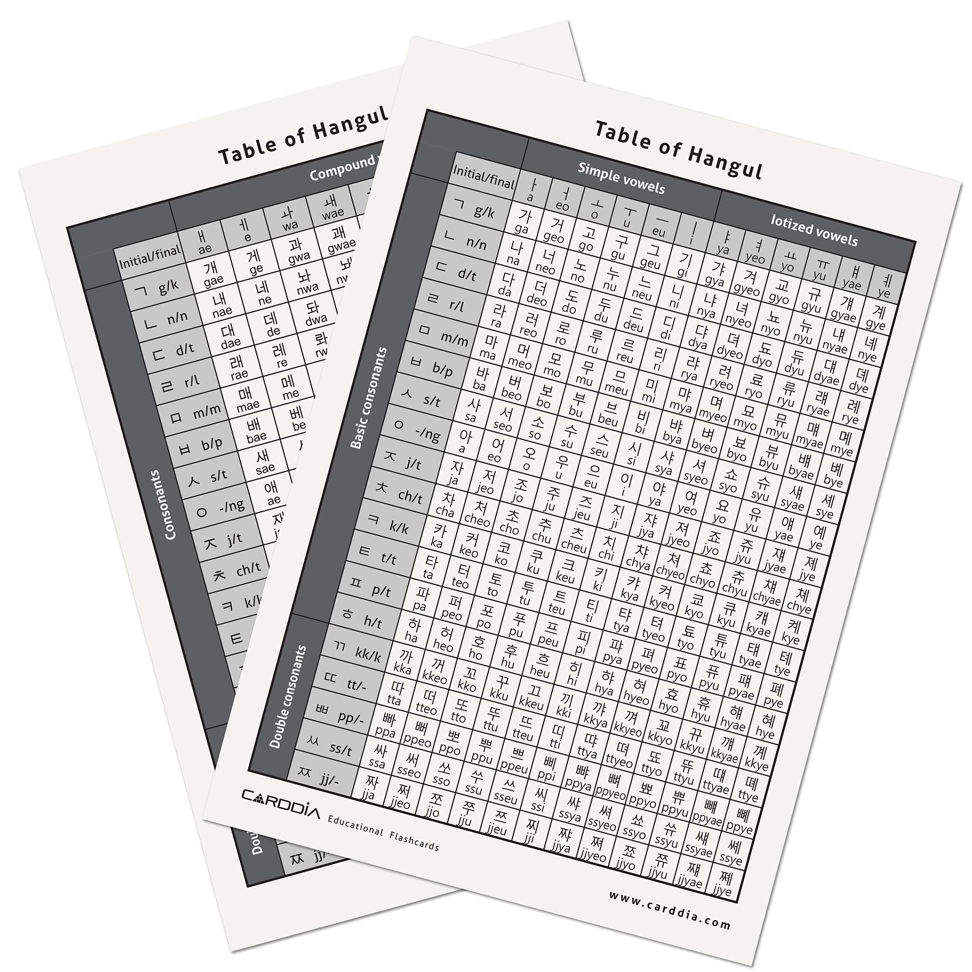 CARDDIA Hangul flashcards back view with pronunciation and stroke order guidance