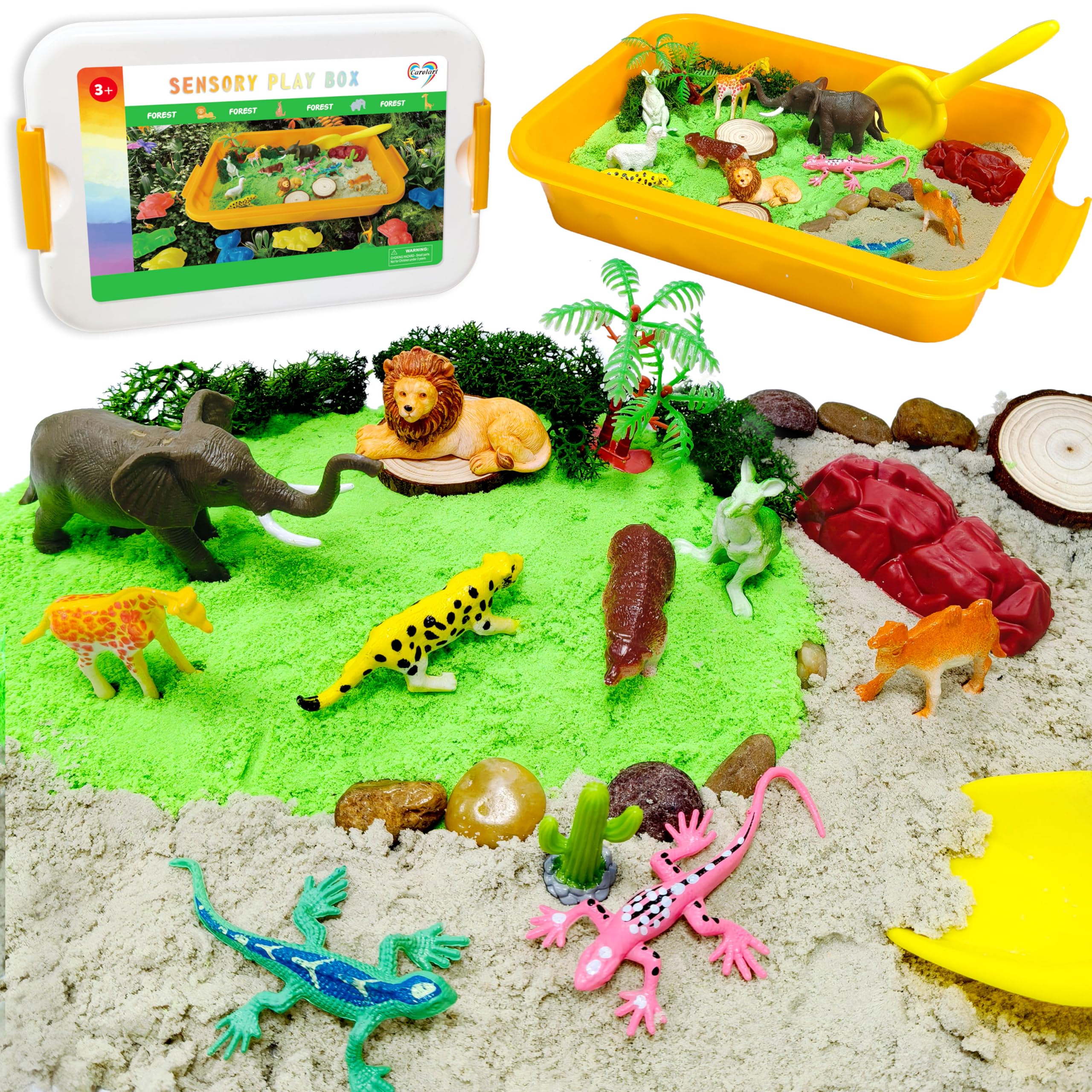 Carolart Jungle Adventure Kit display highlighting moss and wood elements for tactile learning