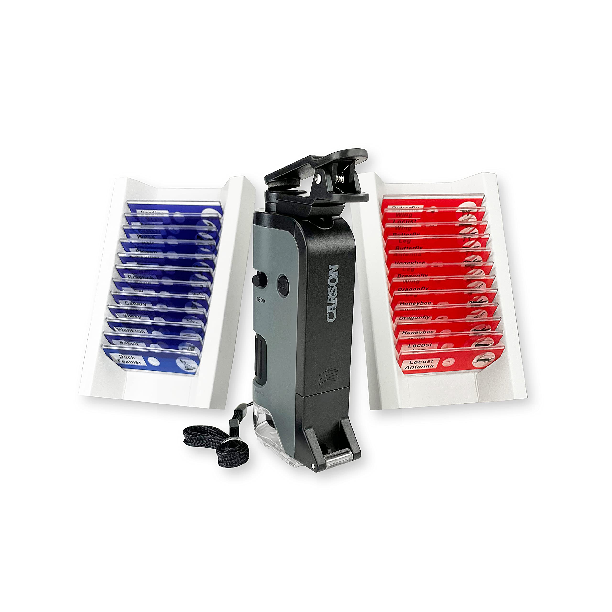 Carson MicroFlip 100x-250x magnification for detailed specimen viewing.