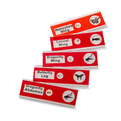 Carson MicroFlip animal slides enable comparative observation.