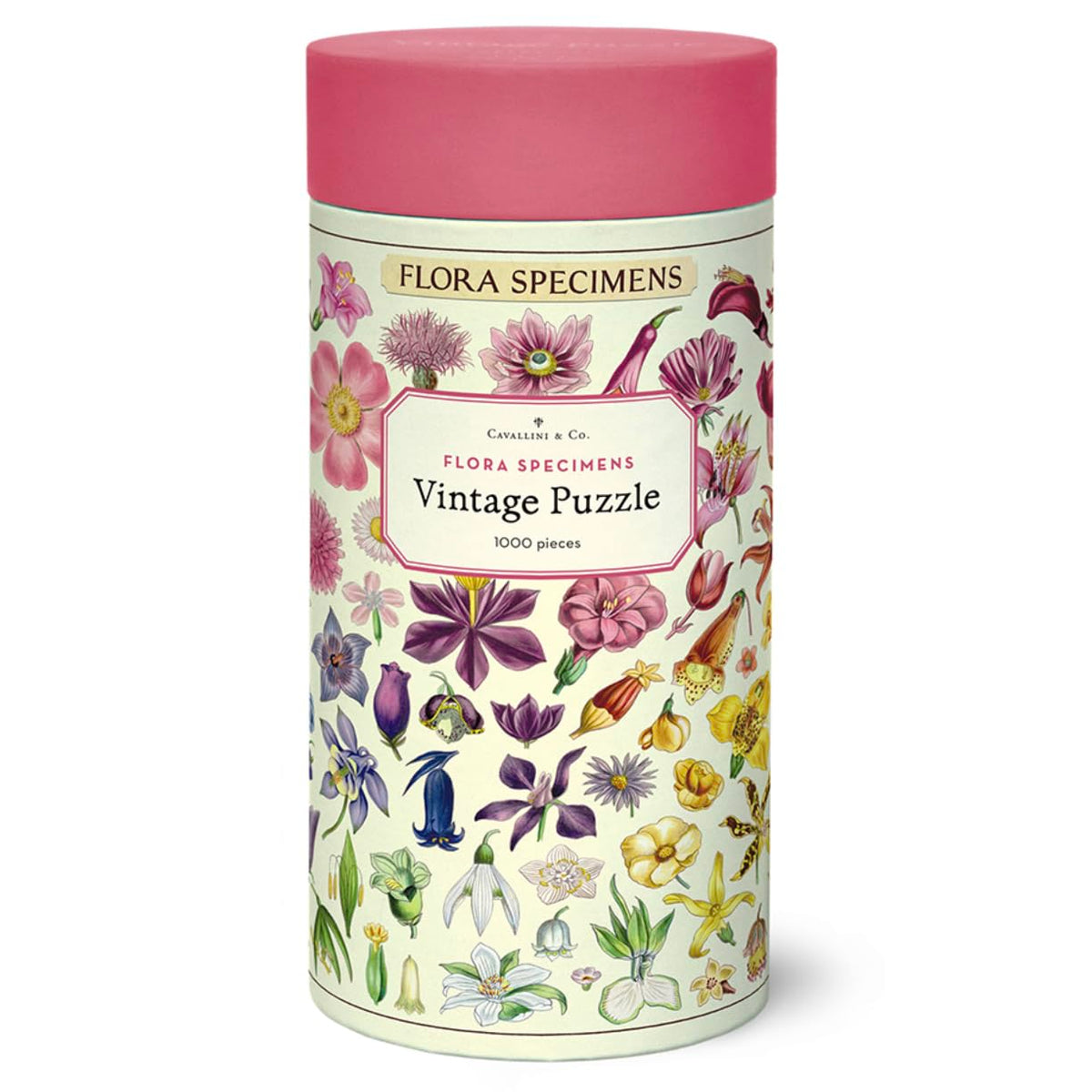 Cavallini & Co Flora Specimens puzzle box and tube packaging for relaxed family time