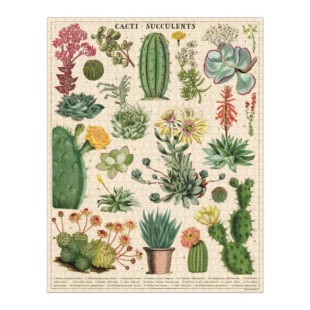 CAVANILLI & CO. Cavallini 1000-piece puzzle of cacti and succulents for mindful recreation