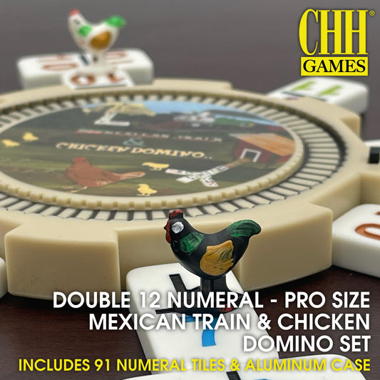 CHH aluminum carrying case keeps dominoes organized and portable