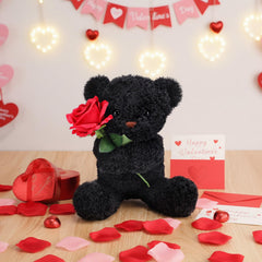 Civaner black plush bear close-up, soft fur and inviting texture