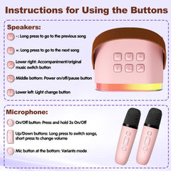 CL FUN two wireless microphones included support family performances.