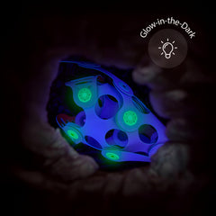 Clixo Ocean Creatures Pack STEAM learning through hands-on experimentation.
