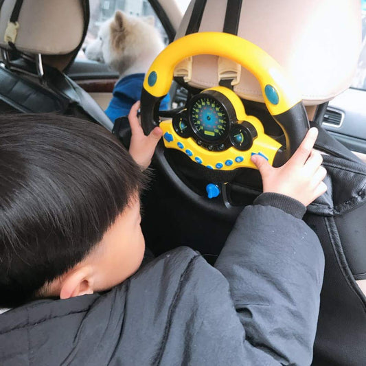 Coherny driving wheel used in back-seat setup for imaginative play.