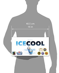 Conclave ICECOOL penguin fishing goal image conveys thematic objective and goal-oriented play.