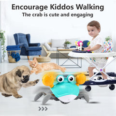 Control Future Crawling Crab Toy obstacle sensor helps safe exploration