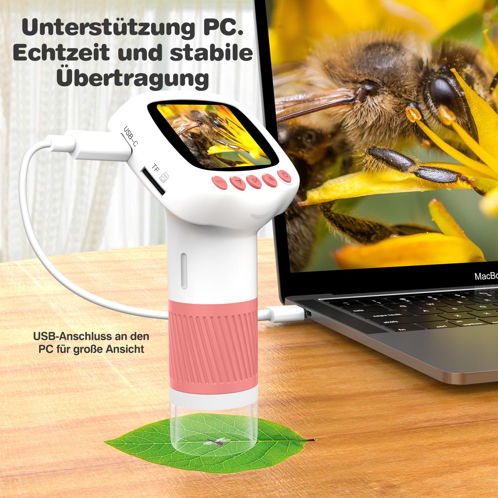 USB connection from Coobest pocket microscope to Windows or Mac.
