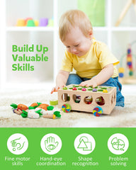 Coogam colorful mushrooms invite visual discrimination and tactile exploration for little hands.