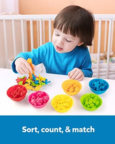 Coogam dinosaur sorting set color bowls help organized color matching at home.