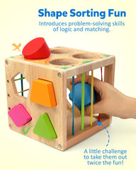 Coogam hammer-ball top encourages cause-and-effect play and coordination.