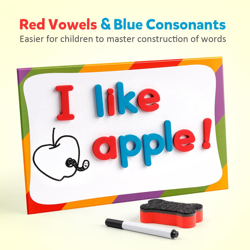 Coogam two-color lowercase and uppercase magnets separated by color.