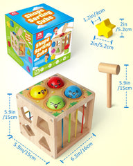 Coogam toddler-friendly toy supports early shape and color learning.