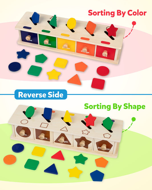 Coogam wooden drawer sorter showing five labeled compartments for practical sorting play.