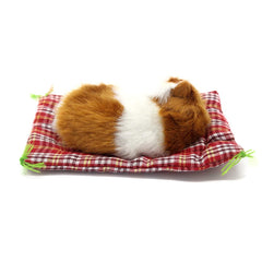 Coolayoung cat toy gift pack suitable for gifting