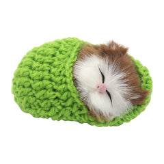 Coolayoung compact plush kitten, great as a gift or keepsake.