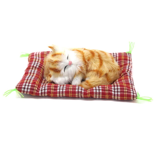 Close-up of Coolayoung sleeping cat on pad plush texture and color