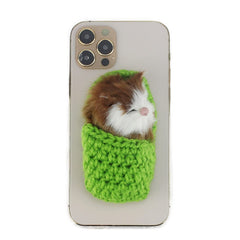 Coolayoung stitched cat-in-slipper, durable and cute for play.