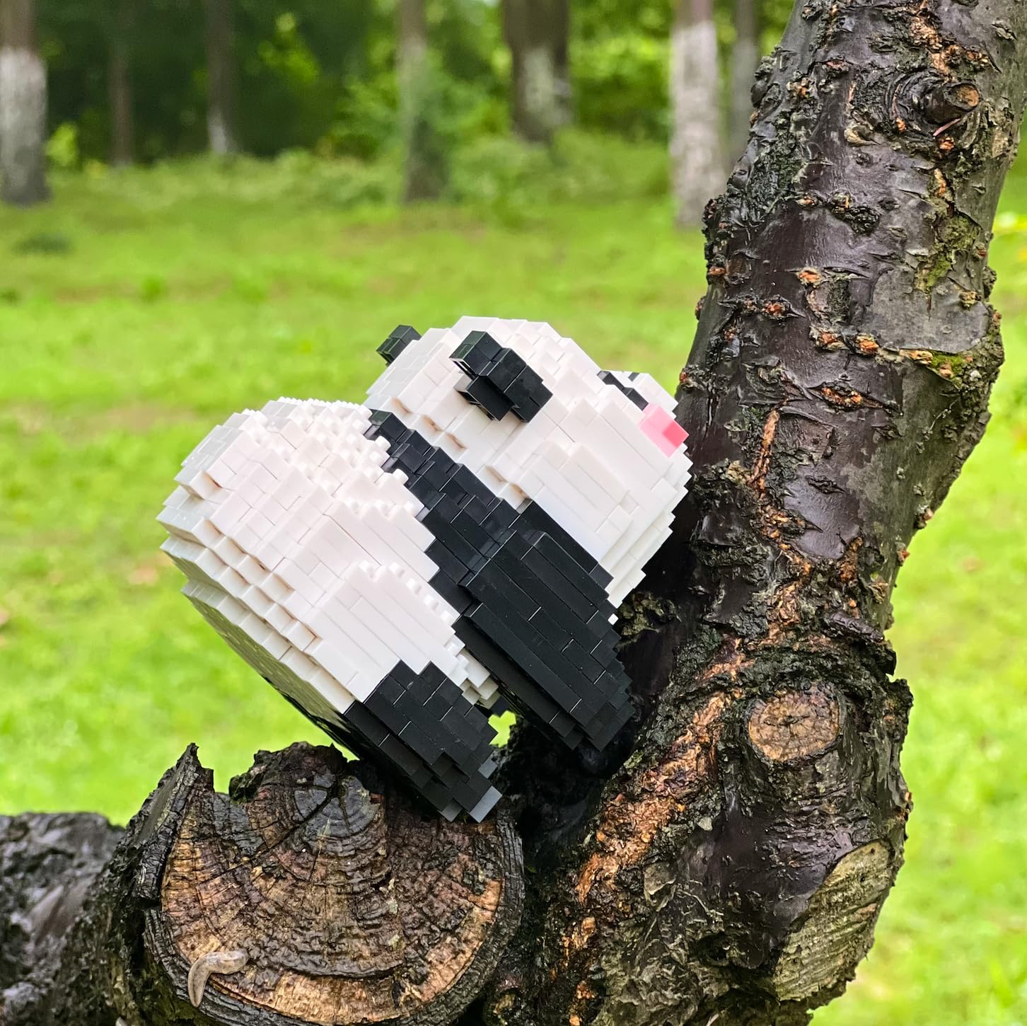 CoPlanaire Flower Panda decorative display brightens any corner