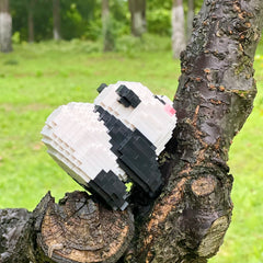 CoPlanaire Flower Panda decorative display brightens any corner