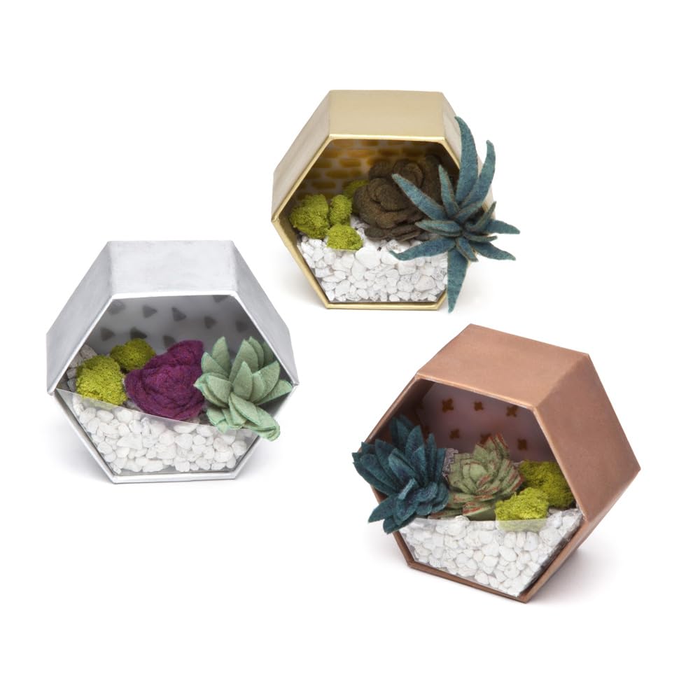 Craft Crush felt succulents roll offers vibrant, low-maintenance greenery