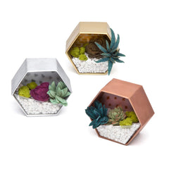 Craft Crush felt succulents roll offers vibrant, low-maintenance greenery