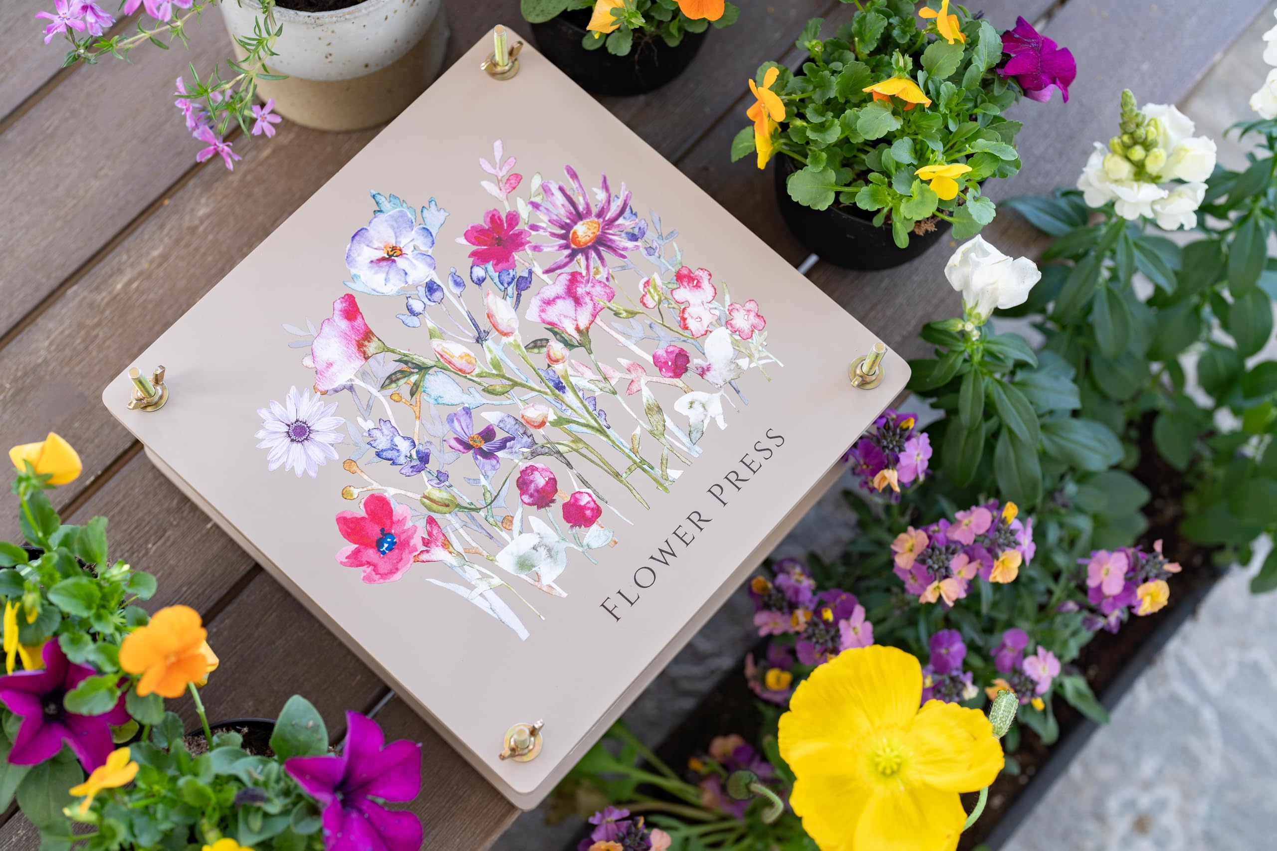 Crafty and Paper greeting cards included for presenting pressed art.