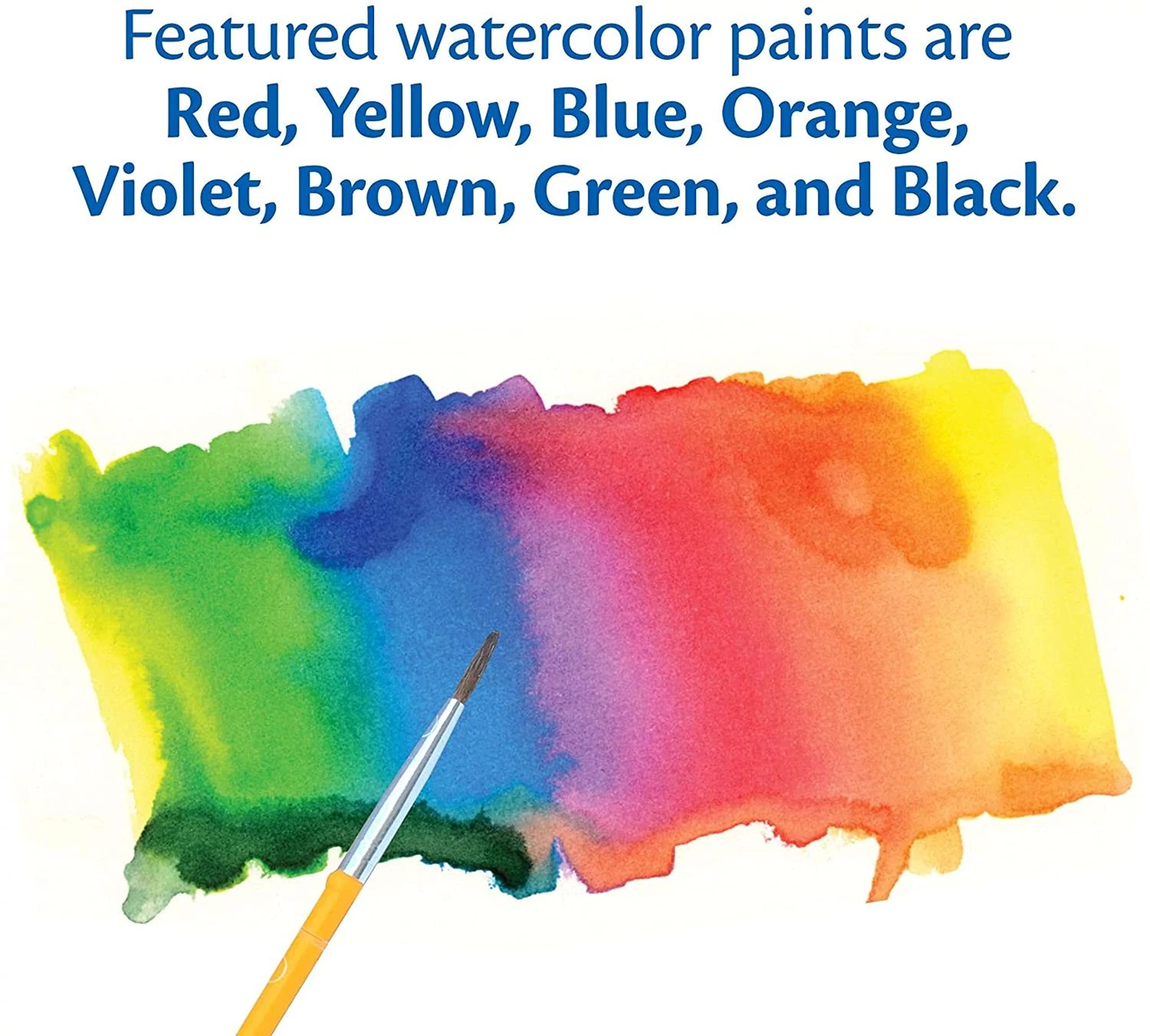 Crayola bulk classroom set ideal for group art projects.
