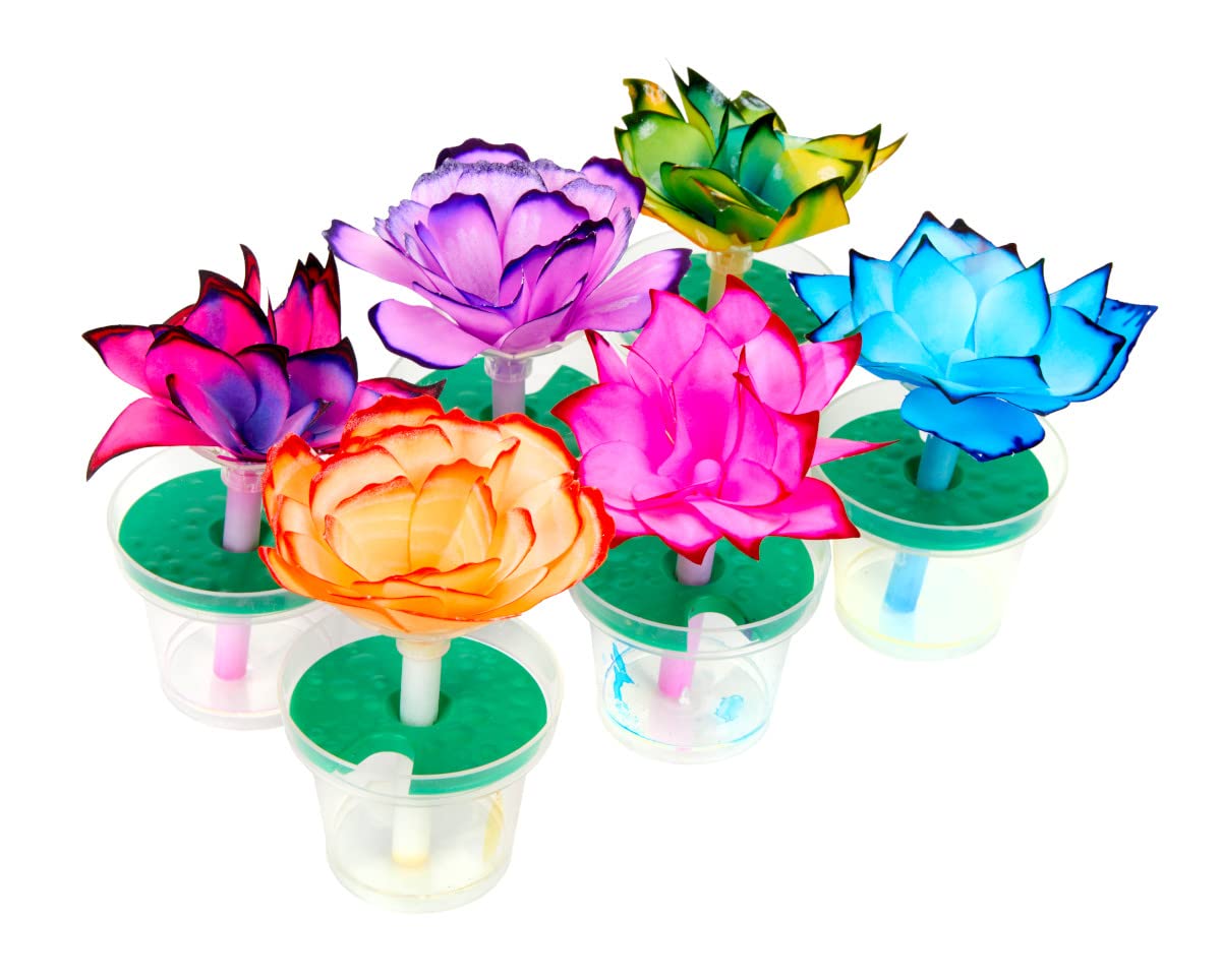 Crayola Paper Flower Science Kit refills with white coffee filters for ongoing fun.
