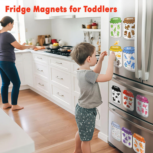 Creatoy color magnets collection supports interactive learning on whiteboards and metal surfaces