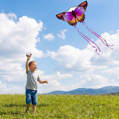 Crogift beach park outdoor fun kite session for family days