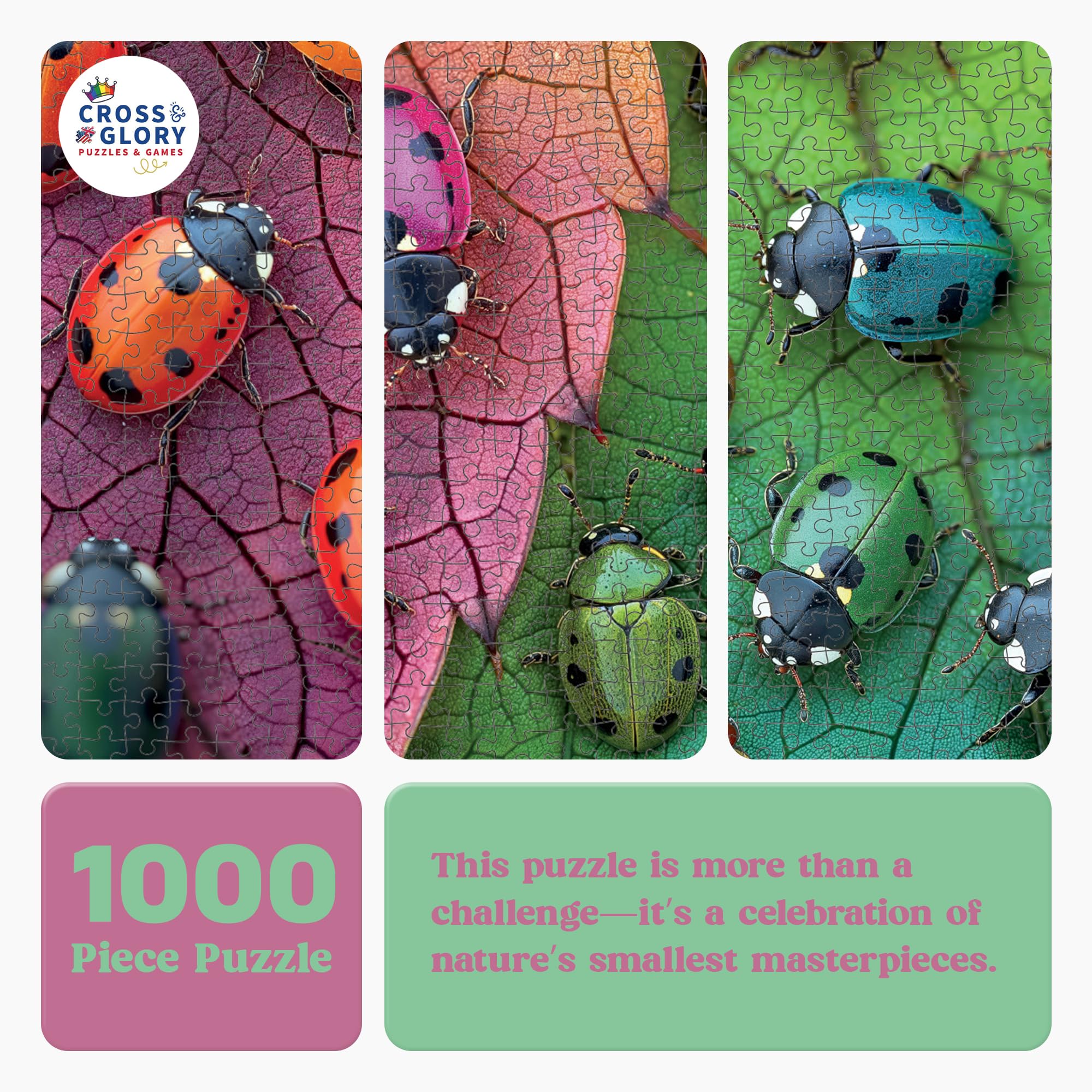 Cross & Glory close-up of ladybugs on leaves highlighting vibrant colors.